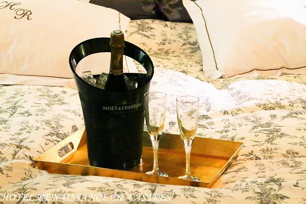 Hotel Renaissance Castres