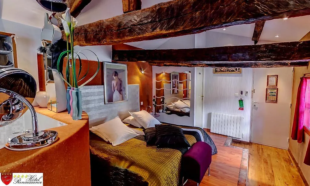 Hotel Renaissance Castres
